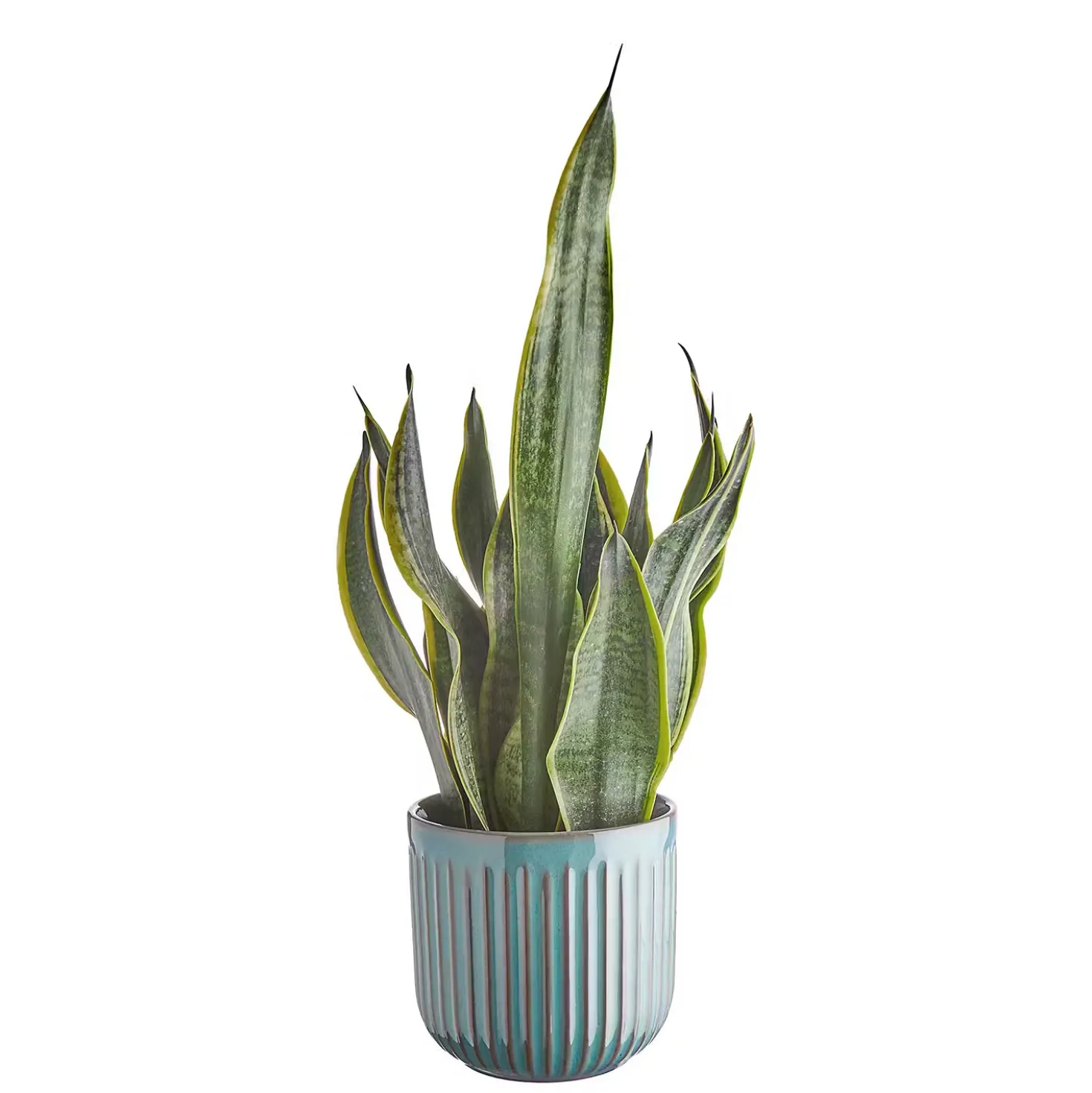 CUBIST Blumentopf