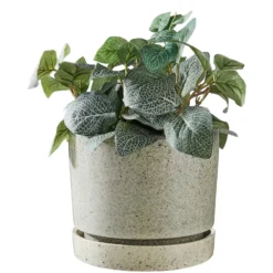 PLANT Pflanztopf mit Teller