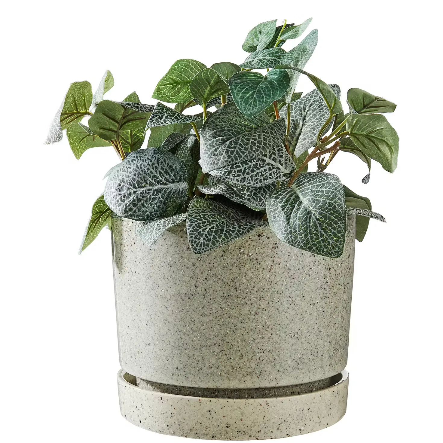 PLANT Pflanztopf mit Teller